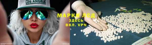 ECSTASY Новодвинск
