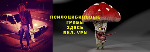 хмурый Балабаново