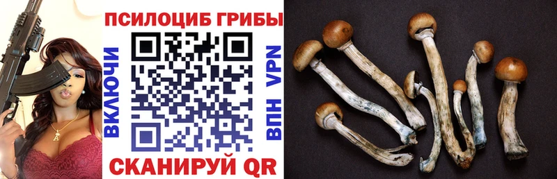 как найти закладки  Саратов  Псилоцибиновые грибы Magic Shrooms 